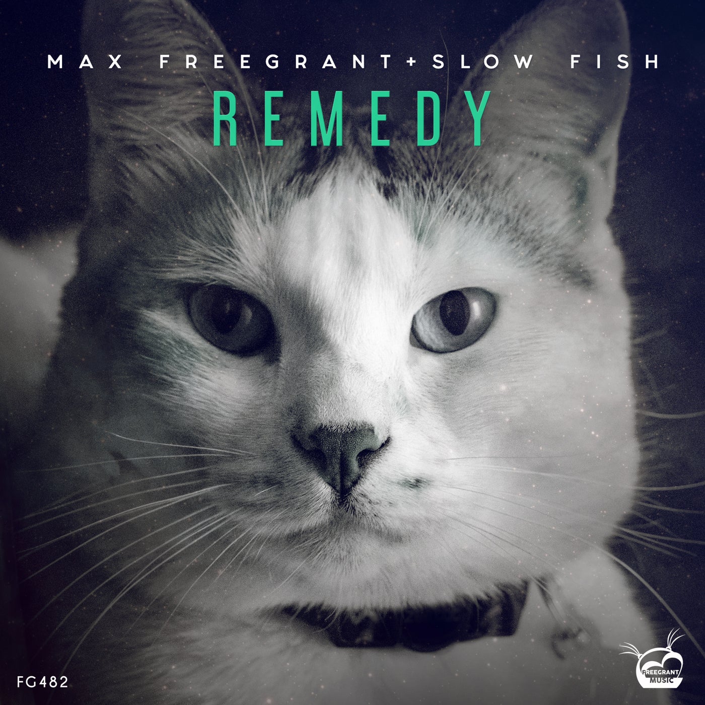 Max Freegrant, Slow Fish - Remedy [FG482]